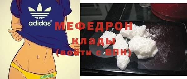 шишки Белокуриха
