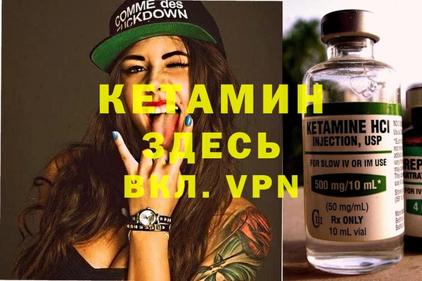 шишки Белокуриха