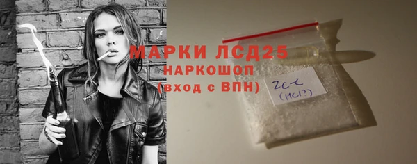 шишки Белокуриха