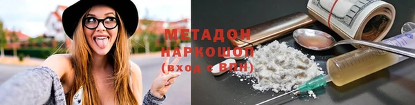 шишки Белокуриха