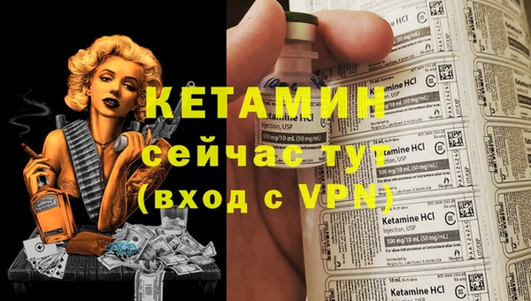 шишки Белокуриха